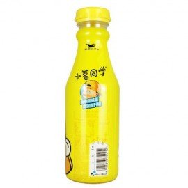小茗同学 青柠红茶 480ml